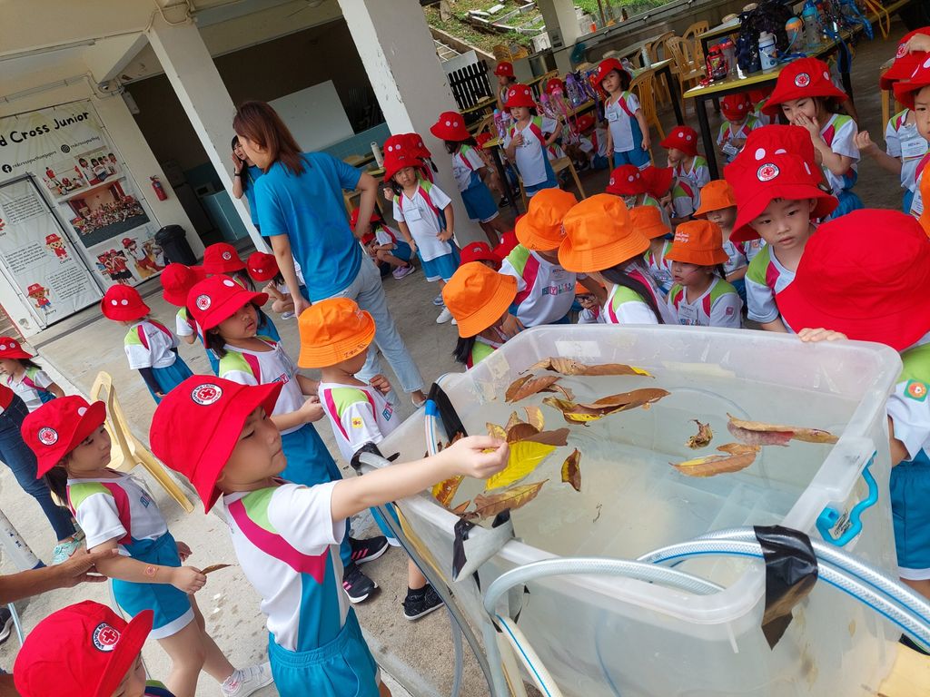A trip to Red Cross camp site 2024 — photo 5