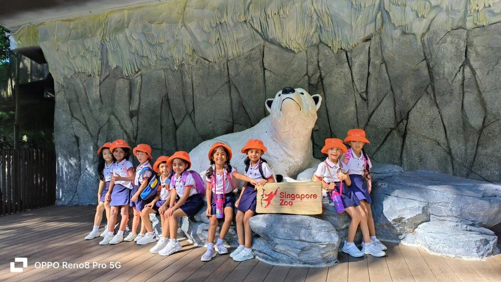 Save our Animals Today! — photo 10