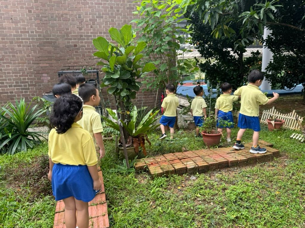 Launch of Our SSDB Project: Sustainability of our Beloved Earth - through Gardening, Recycling and Clean Environment. — photo 14