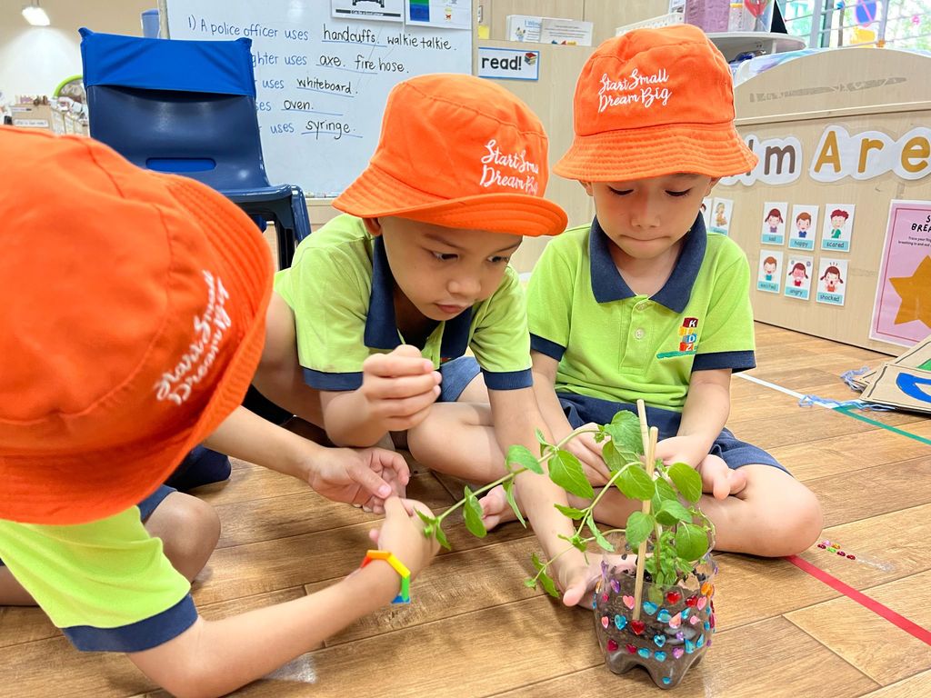 Earth Day cum SSDB soft launch 2025 — photo 17