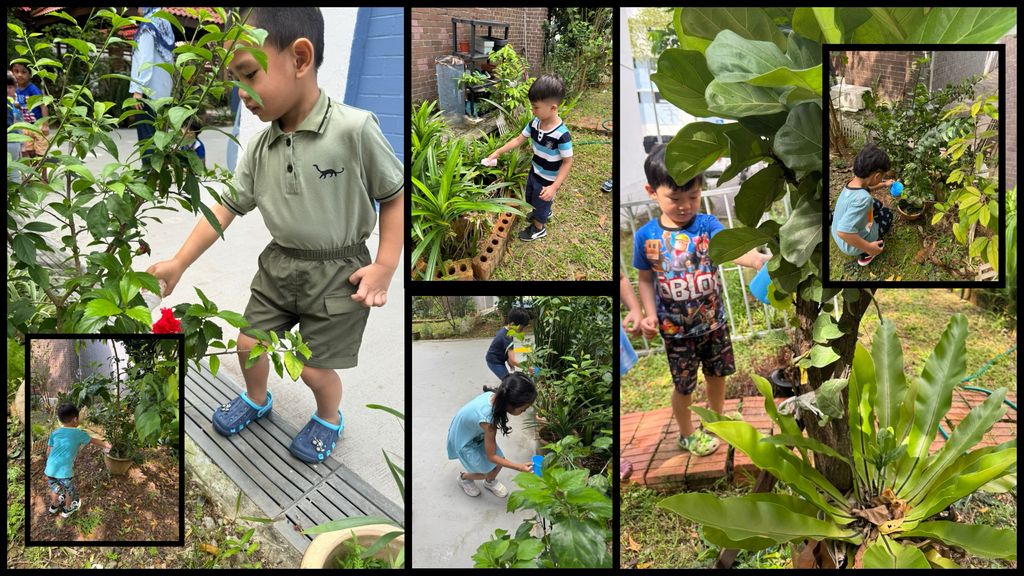 Appleland Montessori Celebrates World Water Day Written By: Teacher Danna, Date: April 2025 — photo 1