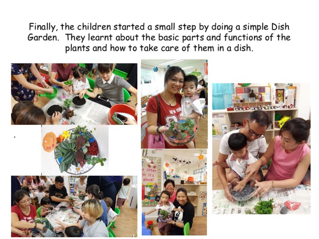 Zero Plastic Waste Project — photo 10