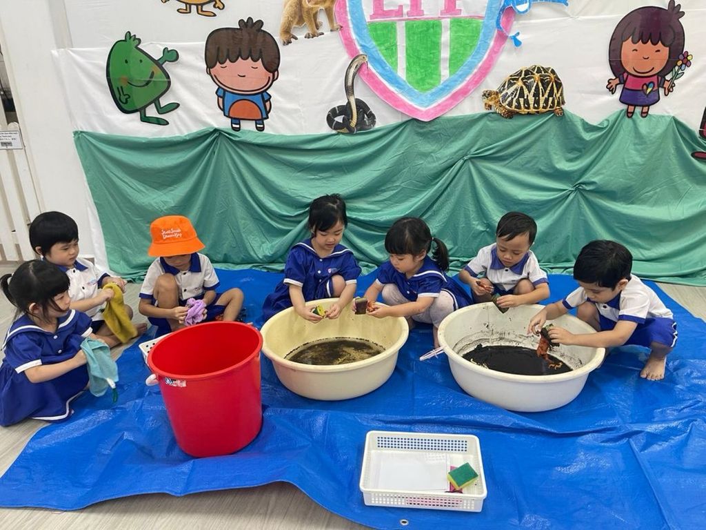 🌿 Young Hearts for Wild Lives: Together for Tomorrow 🐒 — photo 8