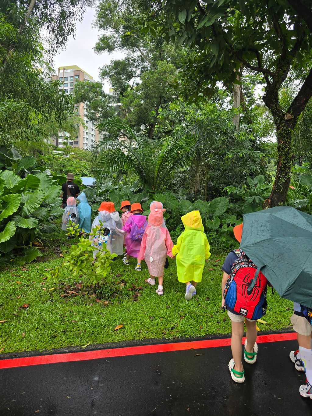 甘榜探秘:孩子们的时光之旅