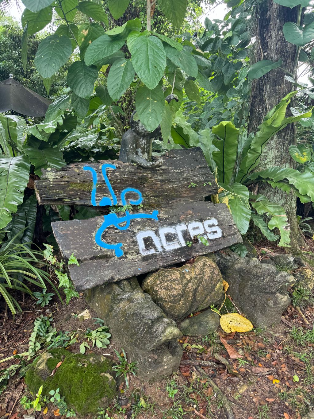 🐢 A Visit to ACRES: Meeting Wild Lives, Sparking Wild Hearts — photo 3