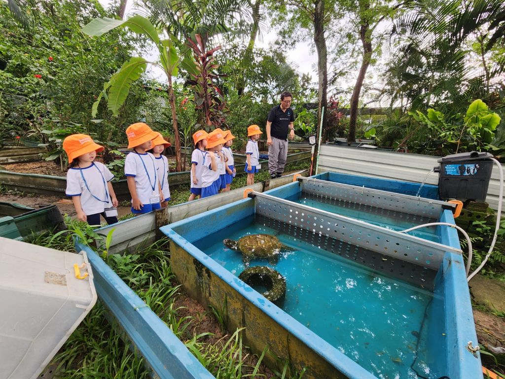 🐢 A Visit to ACRES: Meeting Wild Lives, Sparking Wild Hearts — photo 7