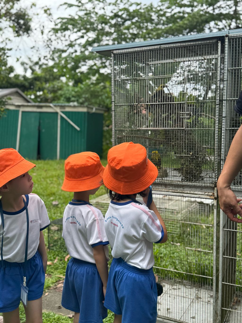 🐢 A Visit to ACRES: Meeting Wild Lives, Sparking Wild Hearts — photo 2