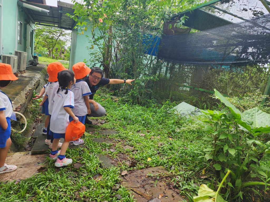 🐢 A Visit to ACRES: Meeting Wild Lives, Sparking Wild Hearts — photo 5