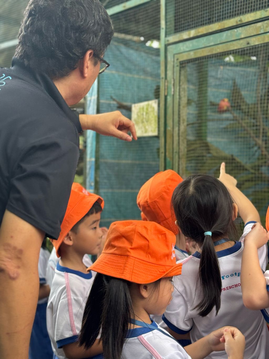 🐢 A Visit to ACRES: Meeting Wild Lives, Sparking Wild Hearts — photo 1