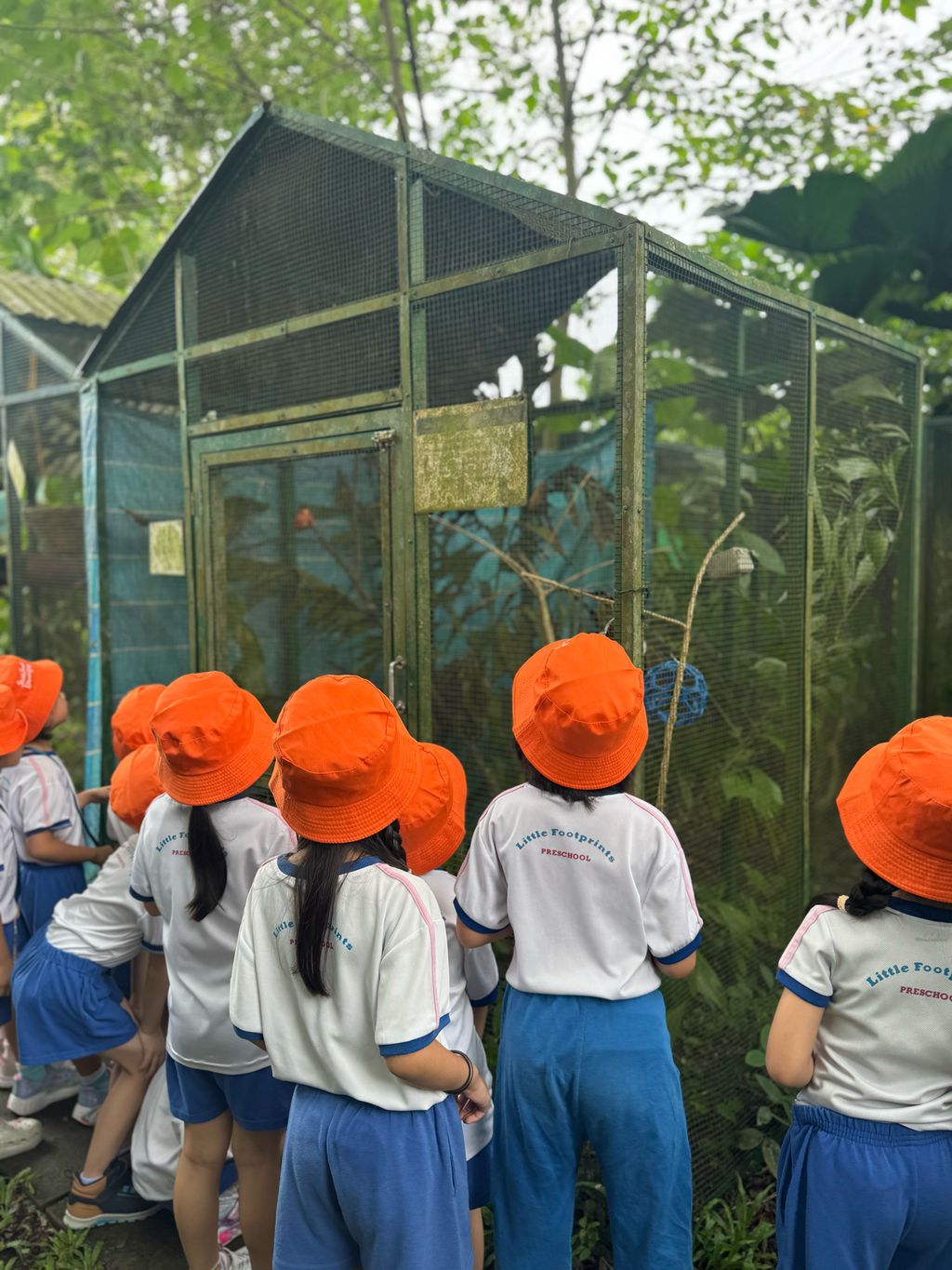 🐢 A Visit to ACRES: Meeting Wild Lives, Sparking Wild Hearts — photo 4