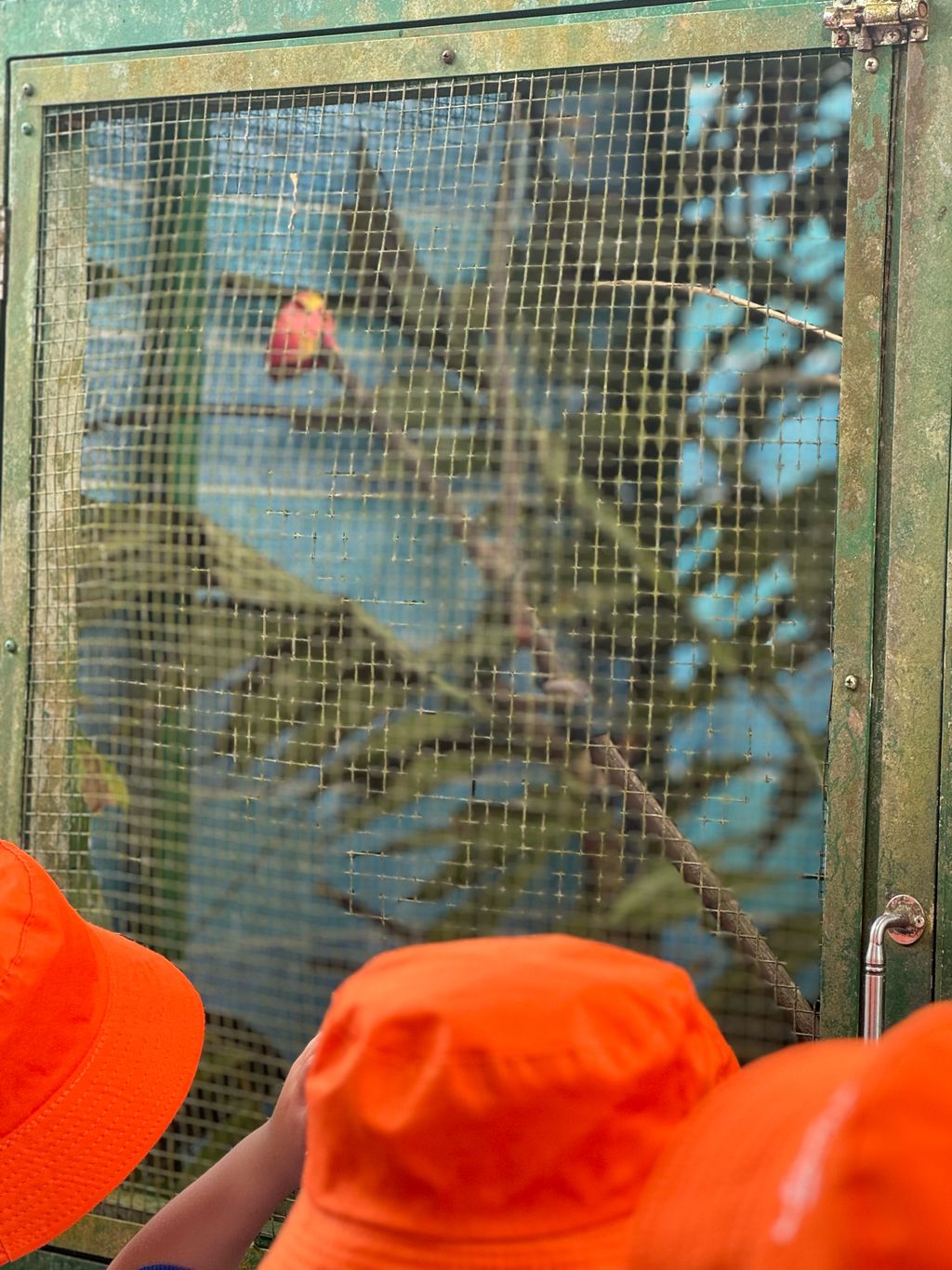 🐢 A Visit to ACRES: Meeting Wild Lives, Sparking Wild Hearts — photo 5