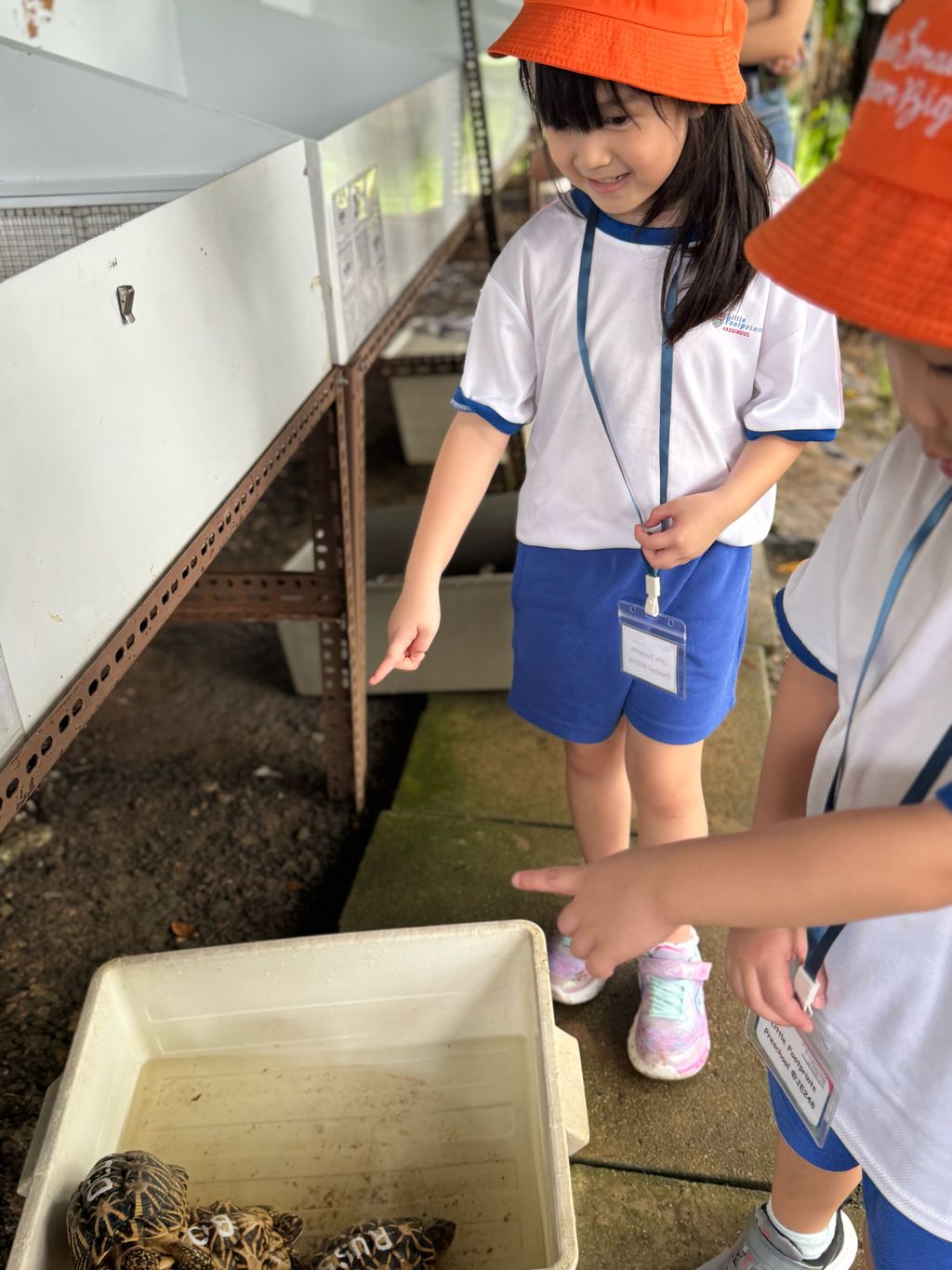 🐢 A Visit to ACRES: Meeting Wild Lives, Sparking Wild Hearts — photo 1