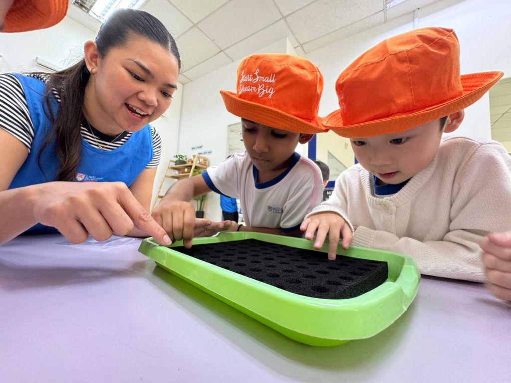 Growing our own vegetables