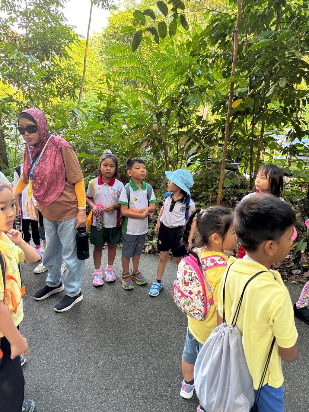 June Holiday Program - Campers hiking @Bukit Timah Hill — photo 2