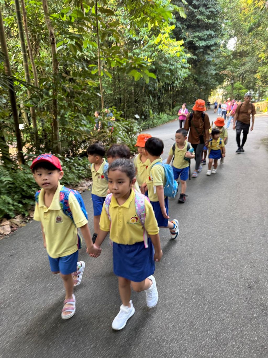 June Holiday Program - Campers hiking @Bukit Timah Hill — photo 3