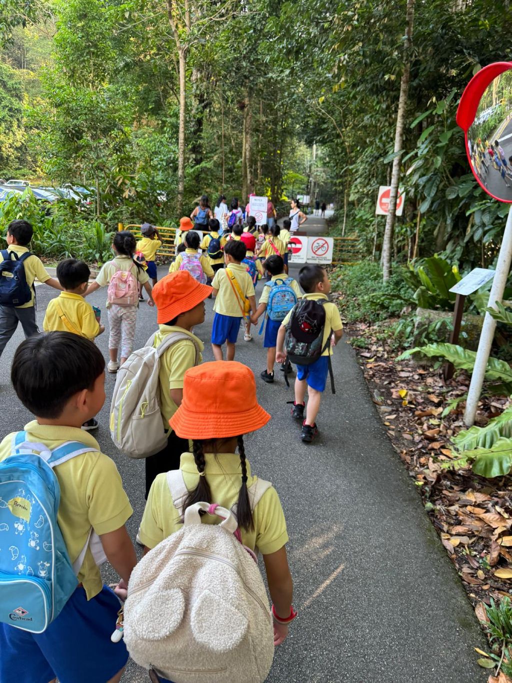 June Holiday Program - Campers hiking @Bukit Timah Hill — photo 5