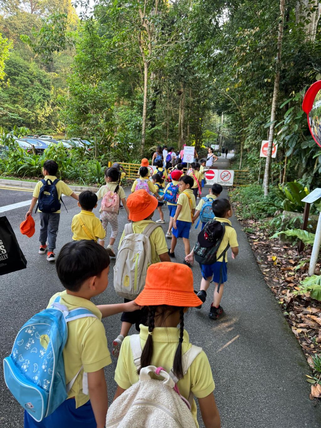 June Holiday Program - Campers hiking @Bukit Timah Hill — photo 6