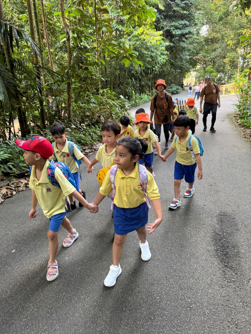 June Holiday Program - Campers hiking @Bukit Timah Hill — photo 7