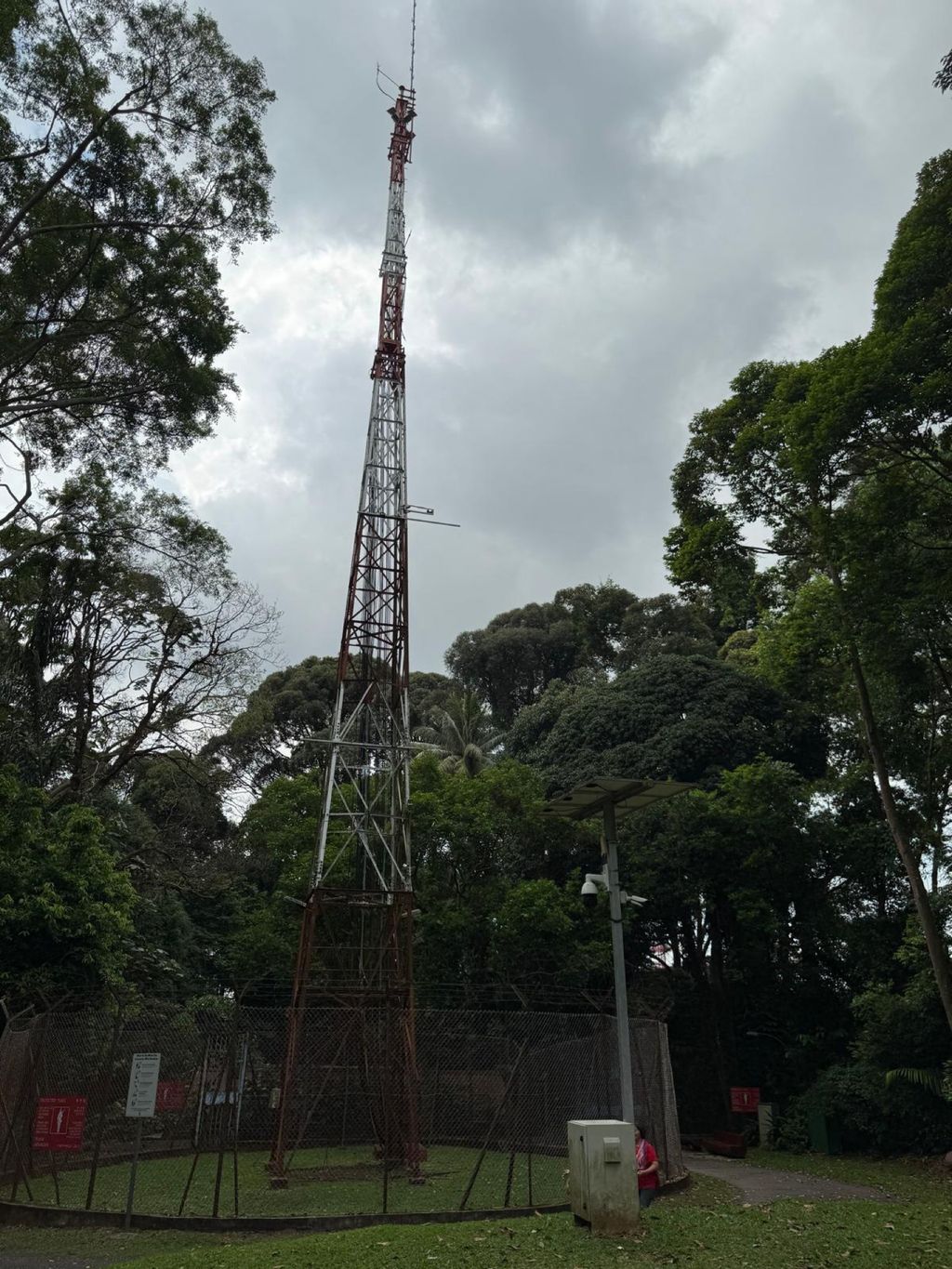 June Holiday Program - Campers hiking @Bukit Timah Hill — photo 6