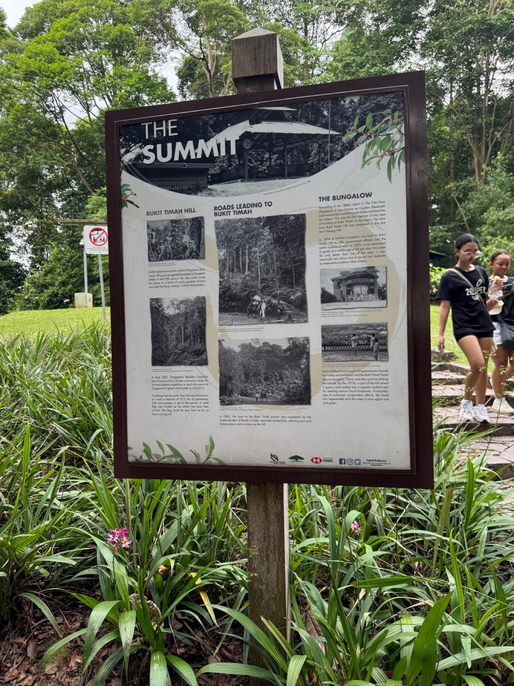 June Holiday Program - Campers hiking @Bukit Timah Hill — photo 8