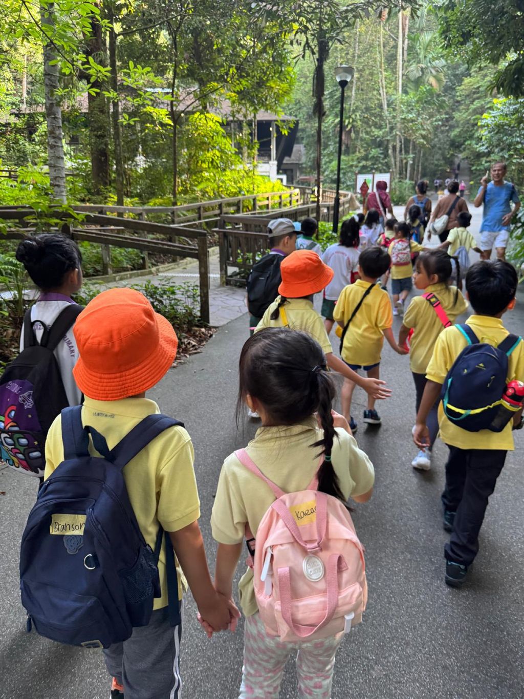 June Holiday Program - Campers hiking @Bukit Timah Hill — photo 1
