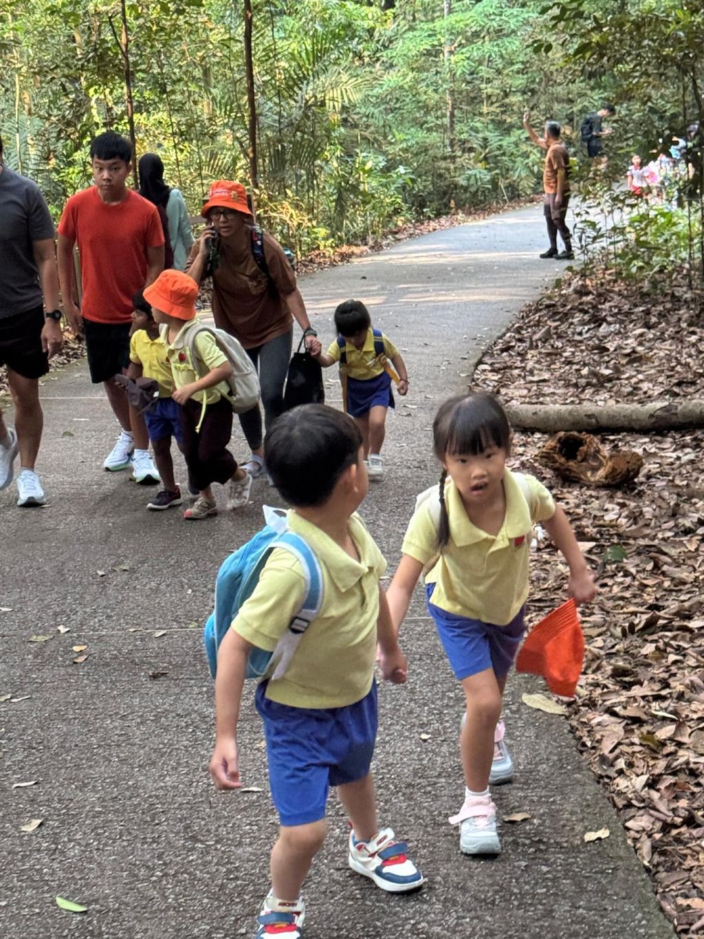 June Holiday Program - Campers hiking @Bukit Timah Hill — photo 5
