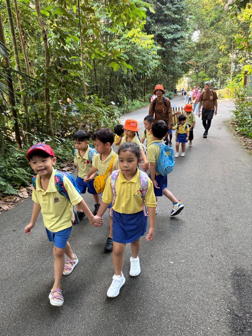 June Holiday Program - Campers hiking @Bukit Timah Hill — photo 7