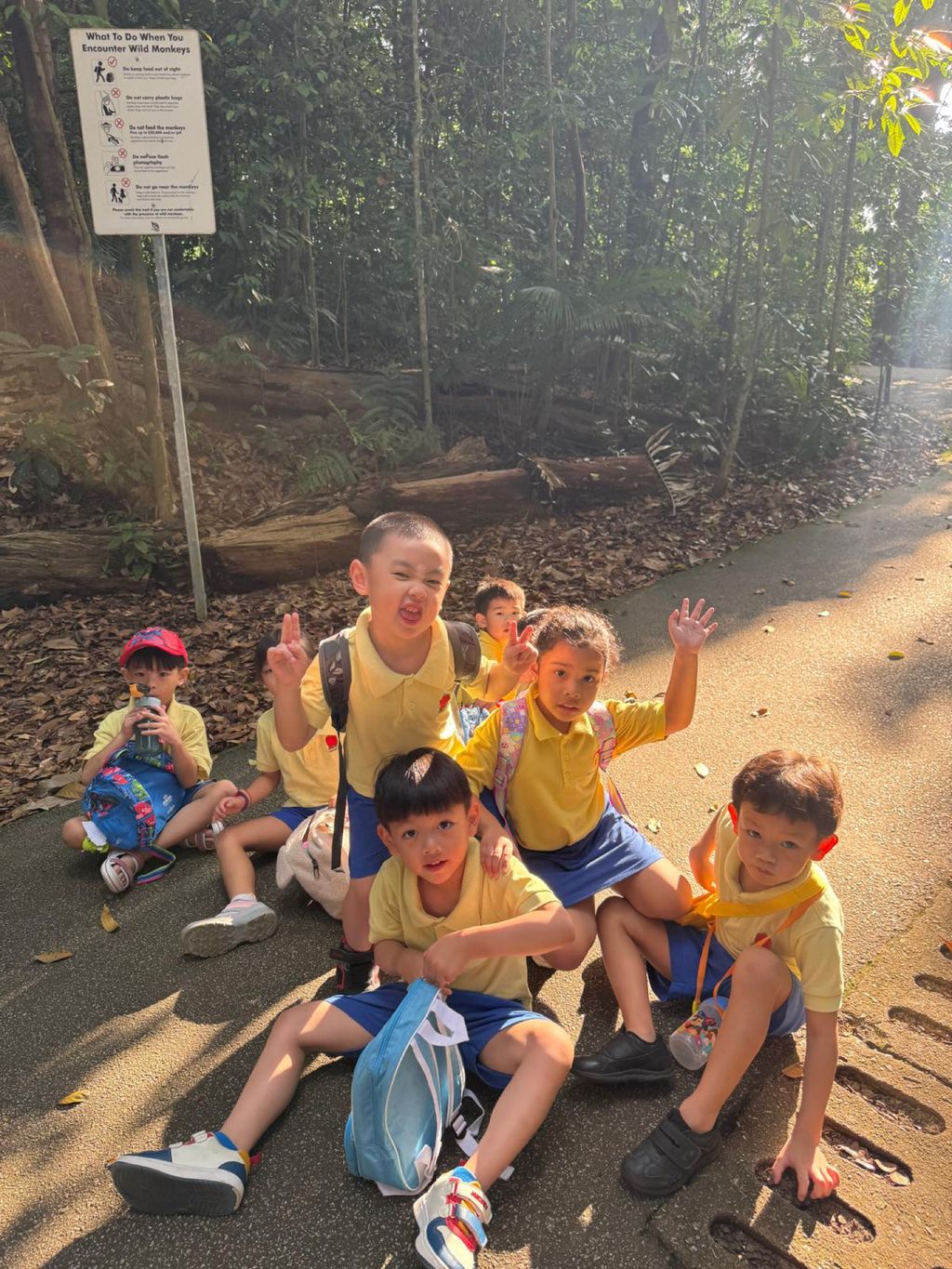June Holiday Program - Campers hiking @Bukit Timah Hill — photo 9