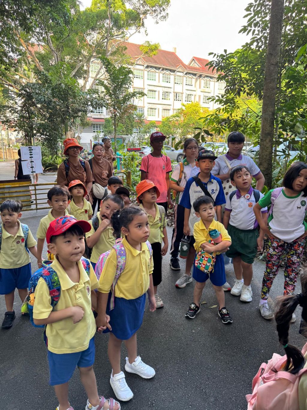 June Holiday Program - Campers hiking @Bukit Timah Hill — photo 10