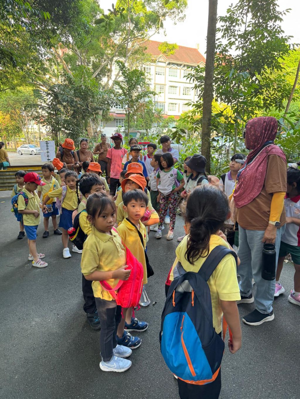 June Holiday Program - Campers hiking @Bukit Timah Hill — photo 12