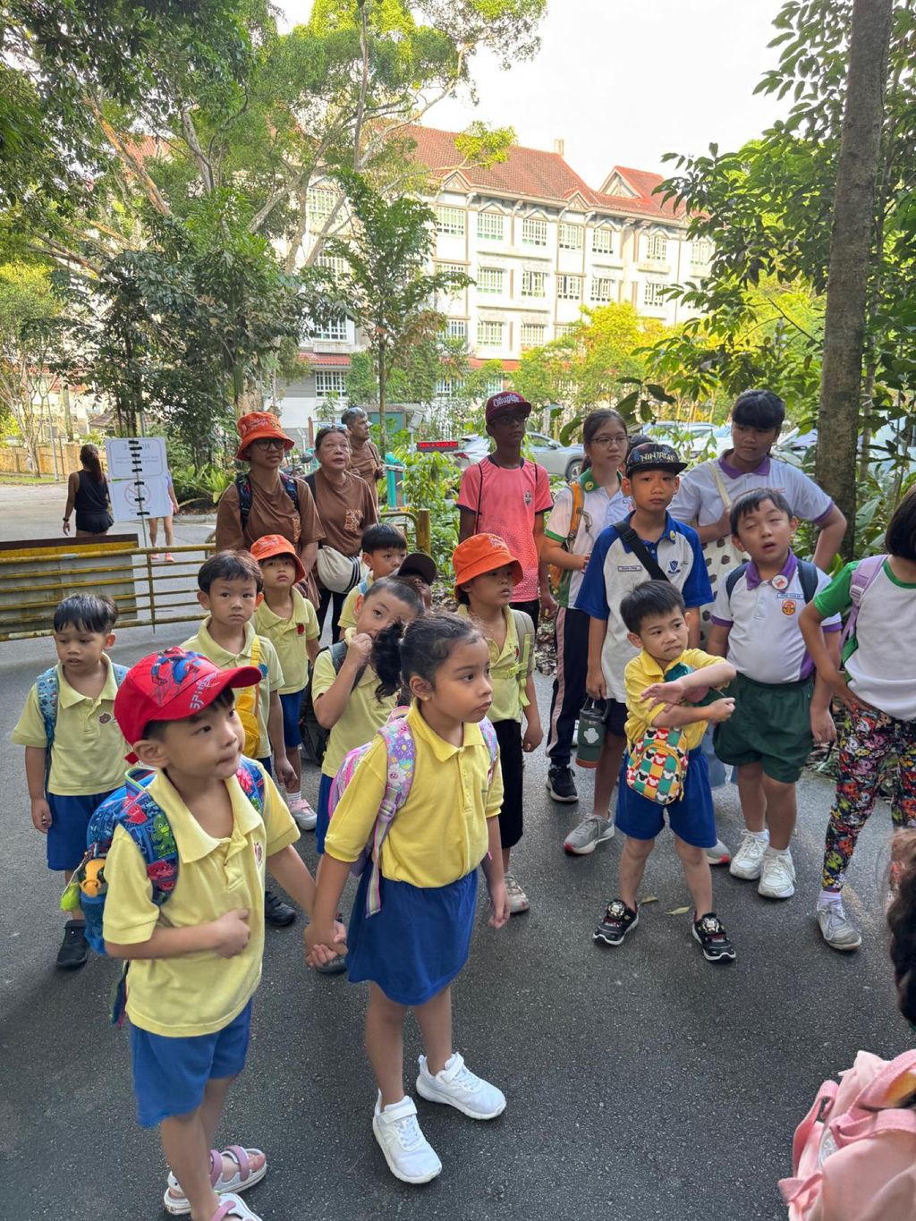 June Holiday Program - Campers hiking @Bukit Timah Hill — photo 13