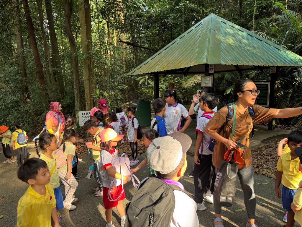 June Holiday Program - Campers hiking @Bukit Timah Hill — photo 14