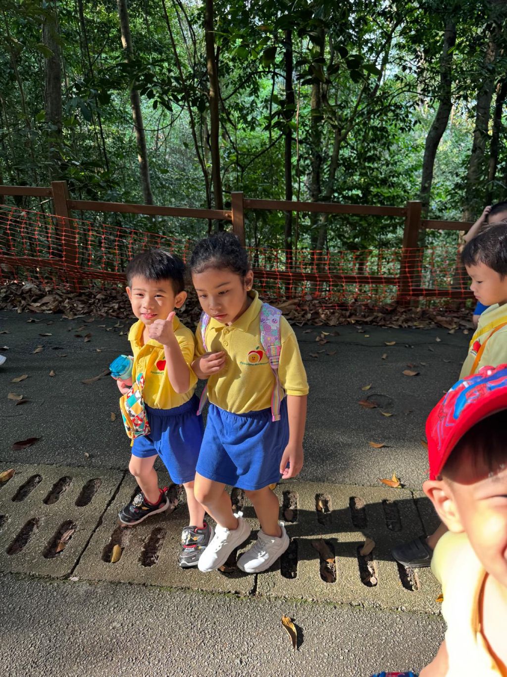June Holiday Program - Campers hiking @Bukit Timah Hill — photo 15
