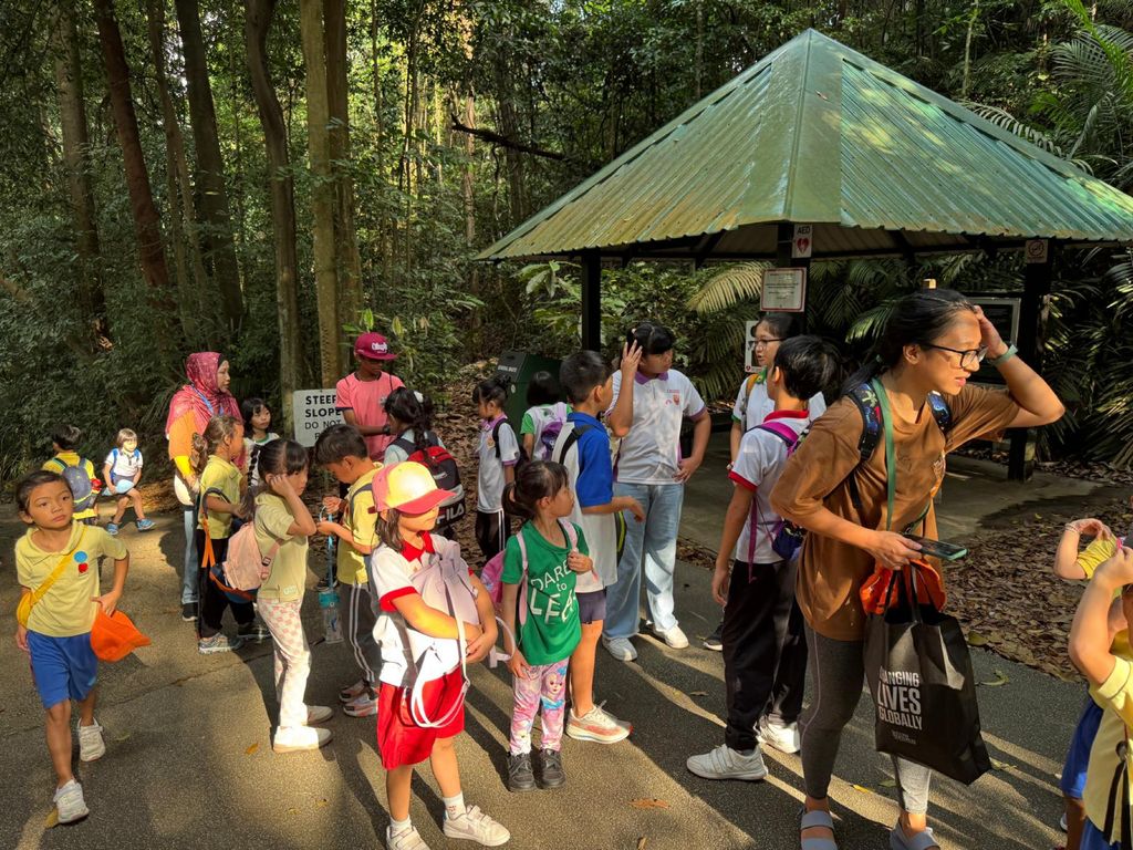 June Holiday Program - Campers hiking @Bukit Timah Hill — photo 16