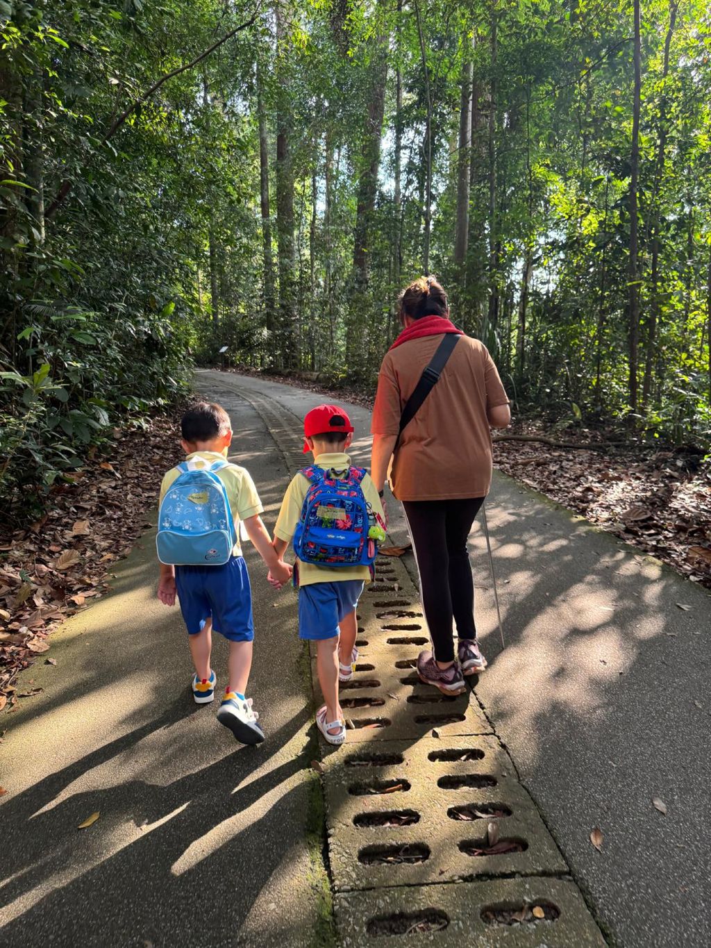 June Holiday Program - Campers hiking @Bukit Timah Hill — photo 17