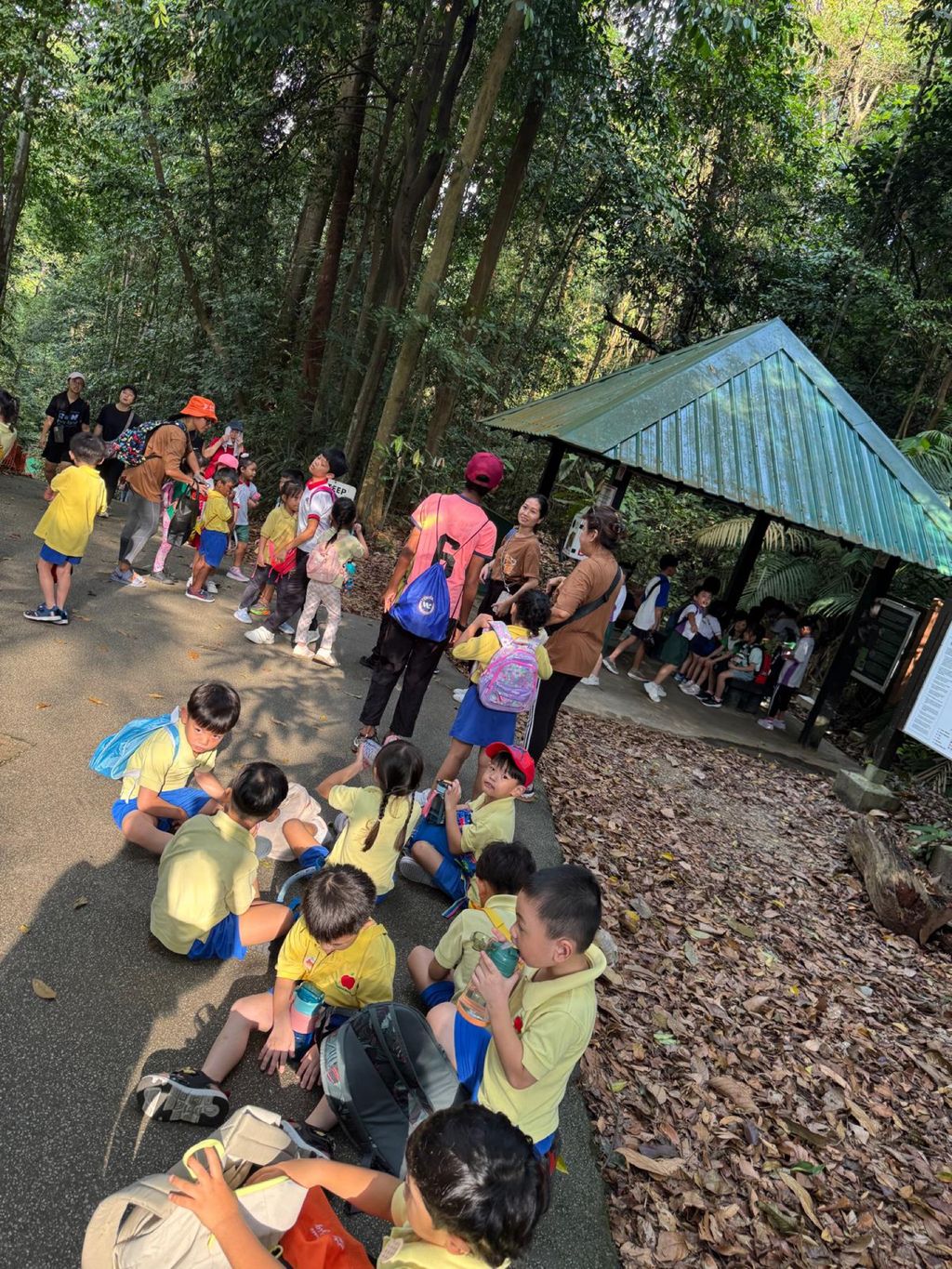 June Holiday Program - Campers hiking @Bukit Timah Hill — photo 18