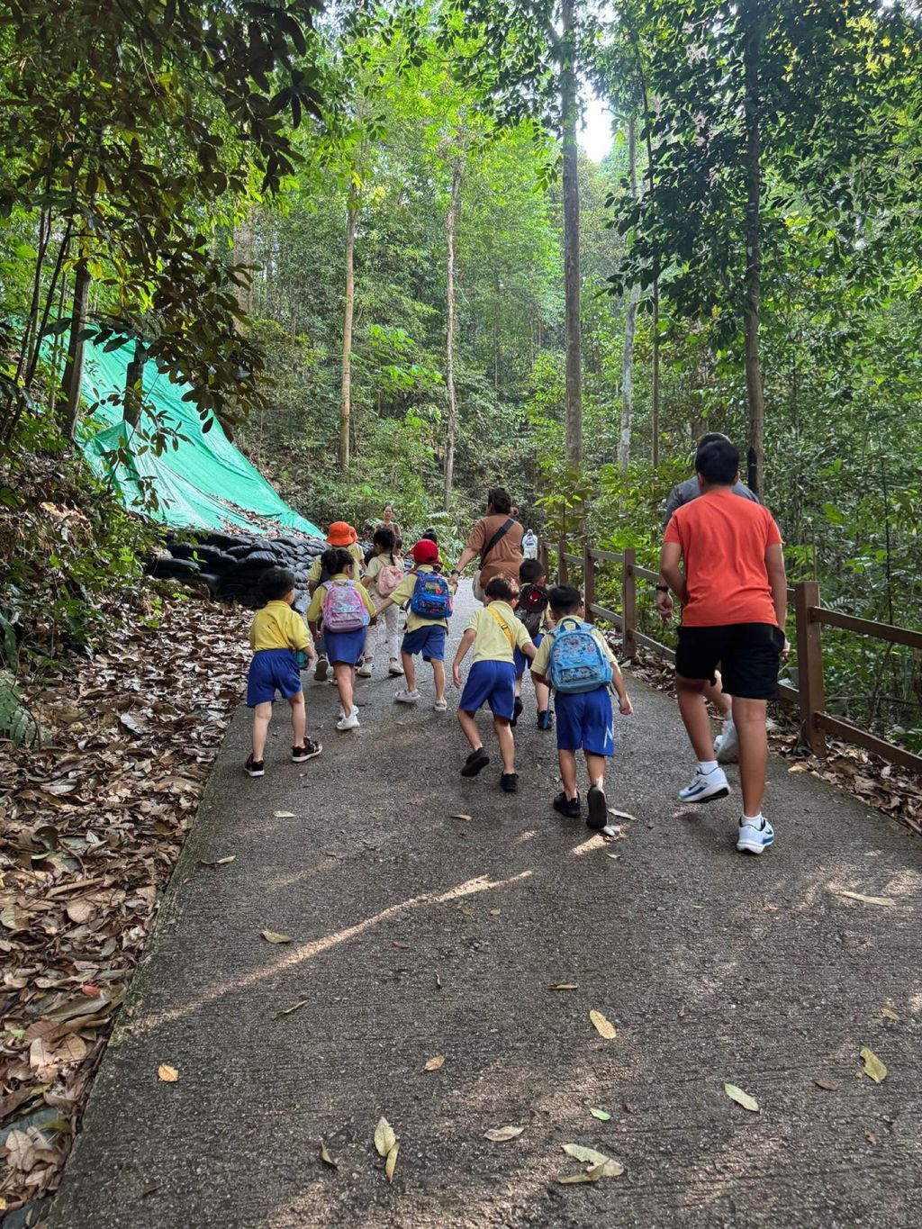 June Holiday Program - Campers hiking @Bukit Timah Hill — photo 19