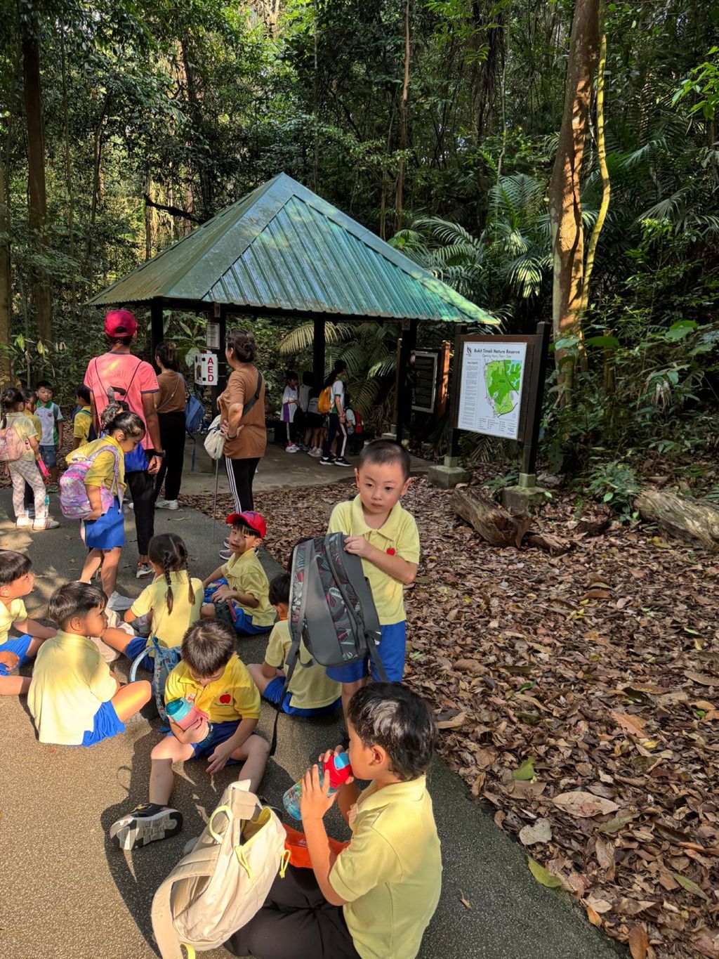 June Holiday Program - Campers hiking @Bukit Timah Hill — photo 20
