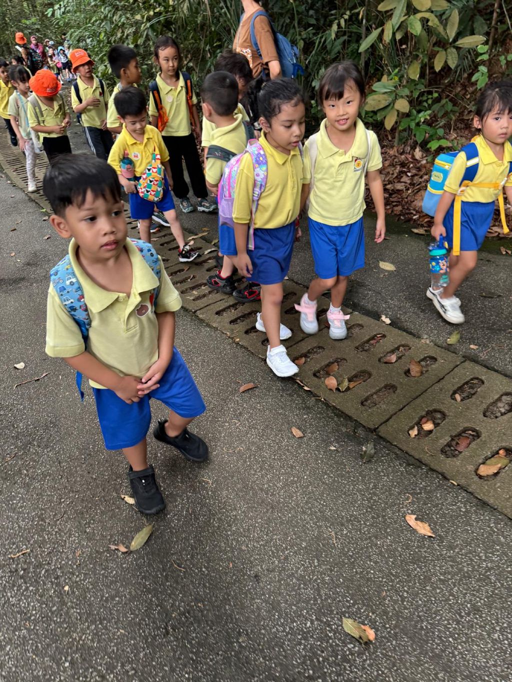 June Holiday Program - Campers hiking @Bukit Timah Hill — photo 1