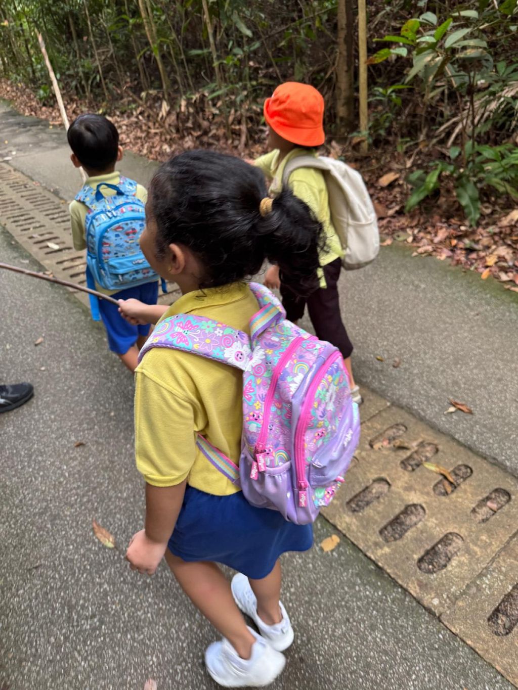 June Holiday Program - Campers hiking @Bukit Timah Hill — photo 3