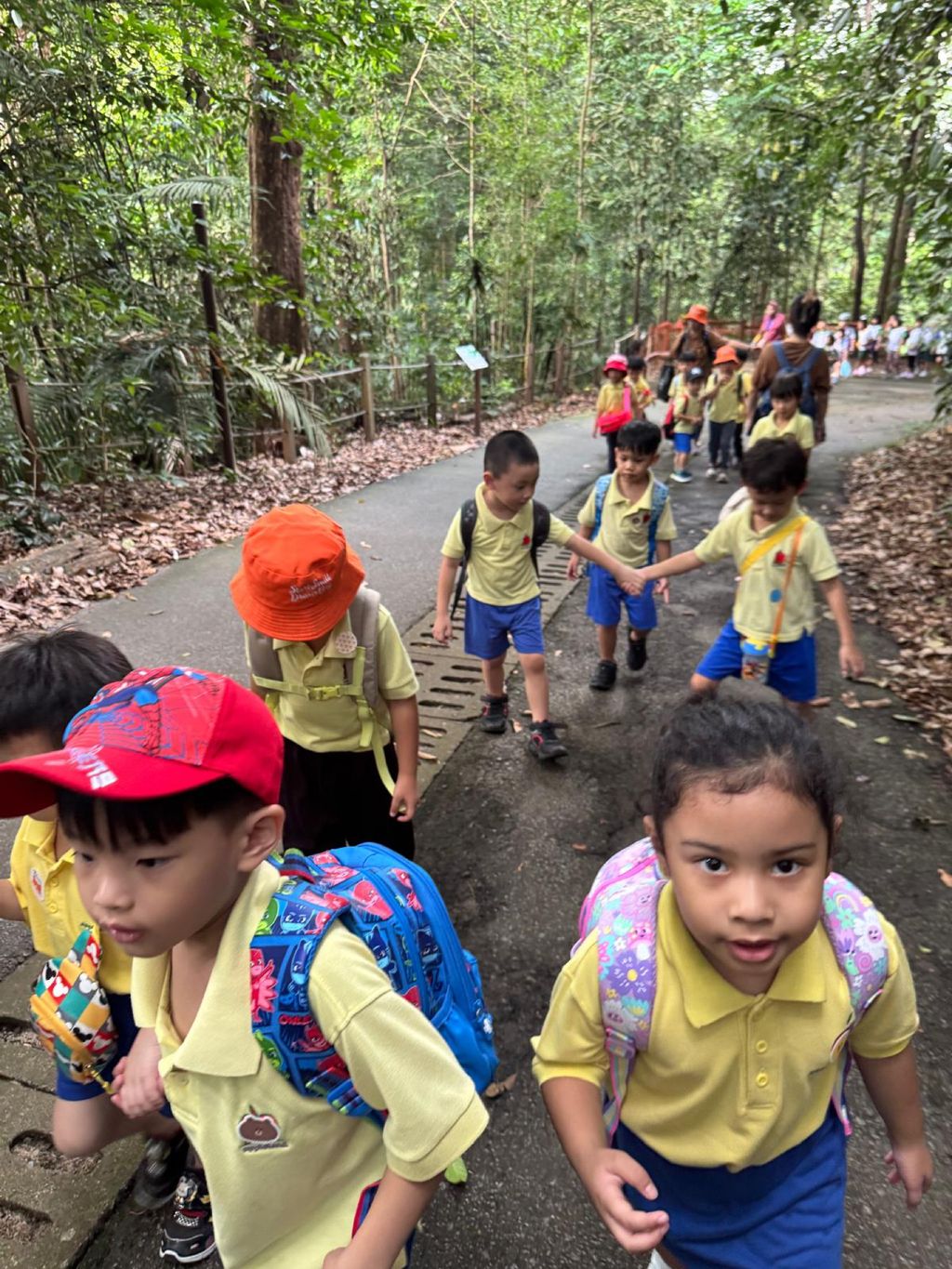 June Holiday Program - Campers hiking @Bukit Timah Hill — photo 4
