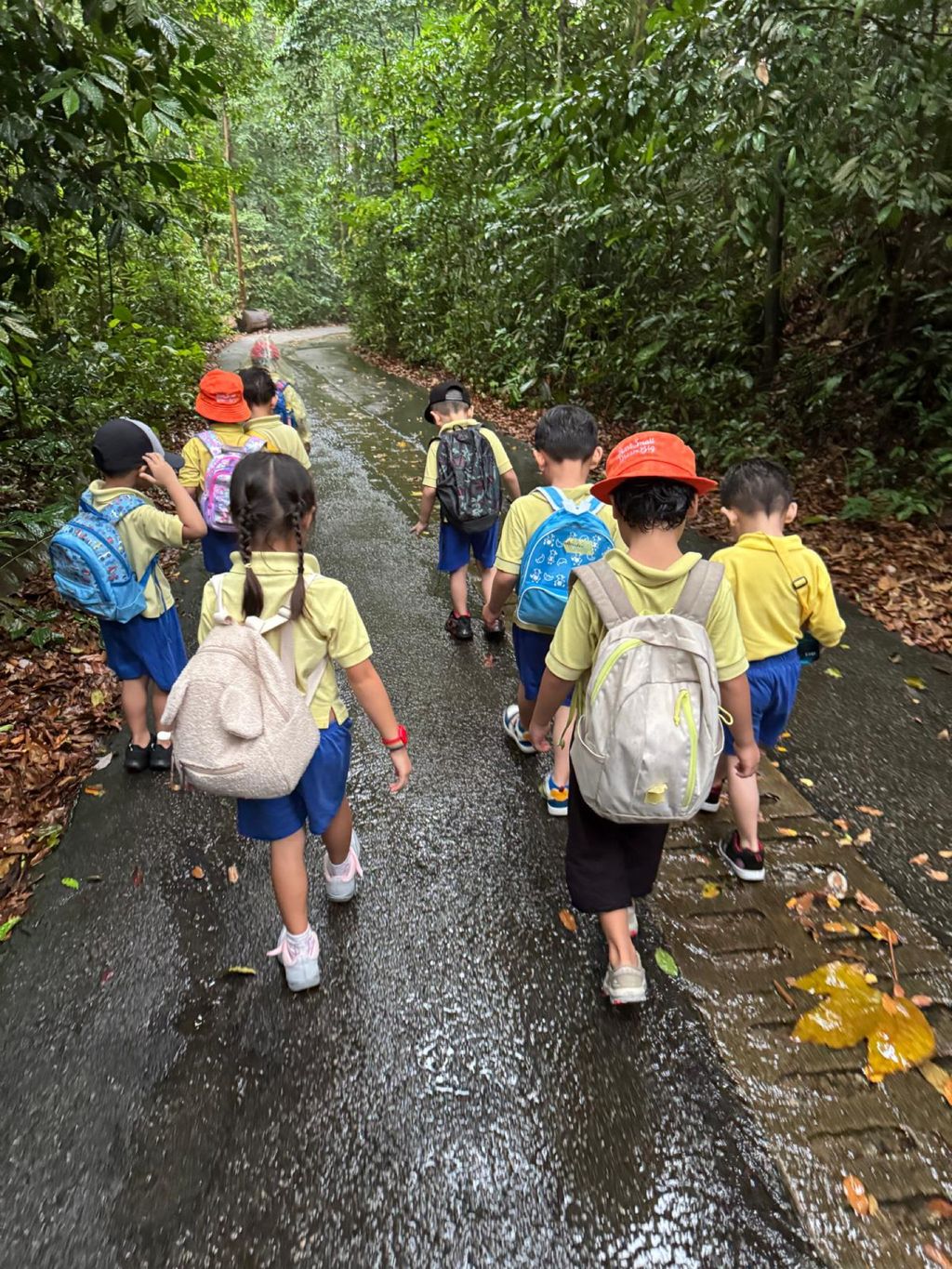 June Holiday Program - Campers hiking @Bukit Timah Hill — photo 5