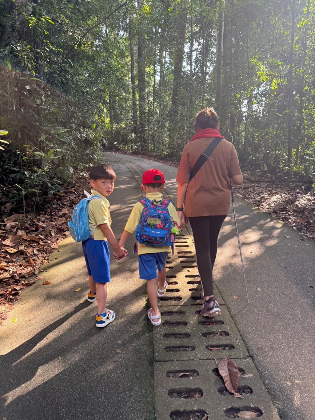 June Holiday Program - Campers hiking @Bukit Timah Hill — photo 6