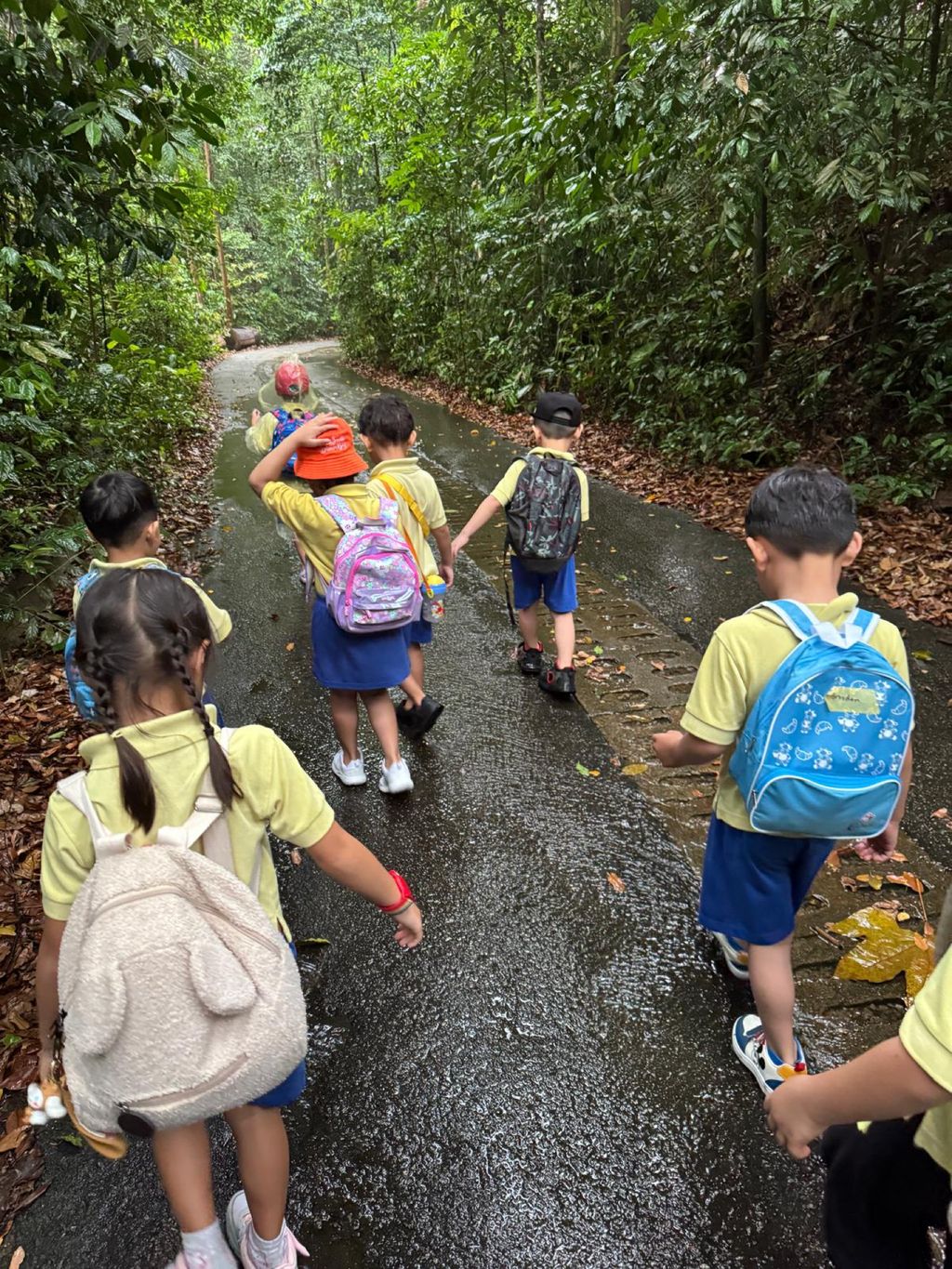 June Holiday Program - Campers hiking @Bukit Timah Hill — photo 7