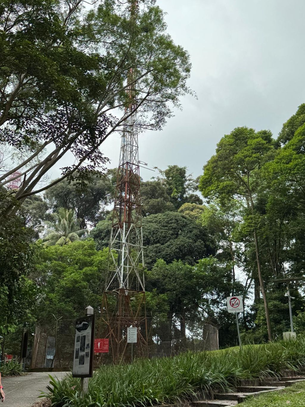 June Holiday Program - Campers hiking @Bukit Timah Hill — photo 8