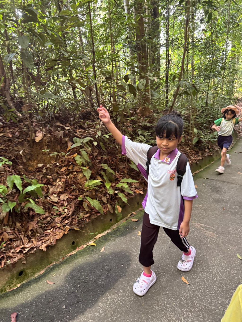 June Holiday Program - Campers hiking @Bukit Timah Hill — photo 9