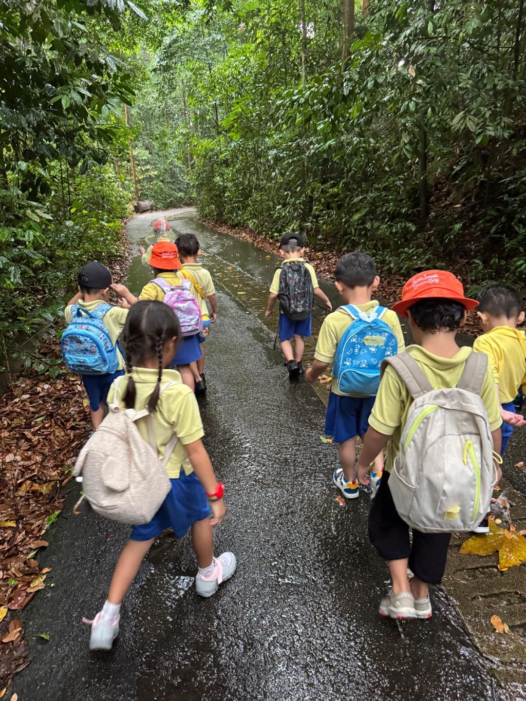 June Holiday Program - Campers hiking @Bukit Timah Hill — photo 11