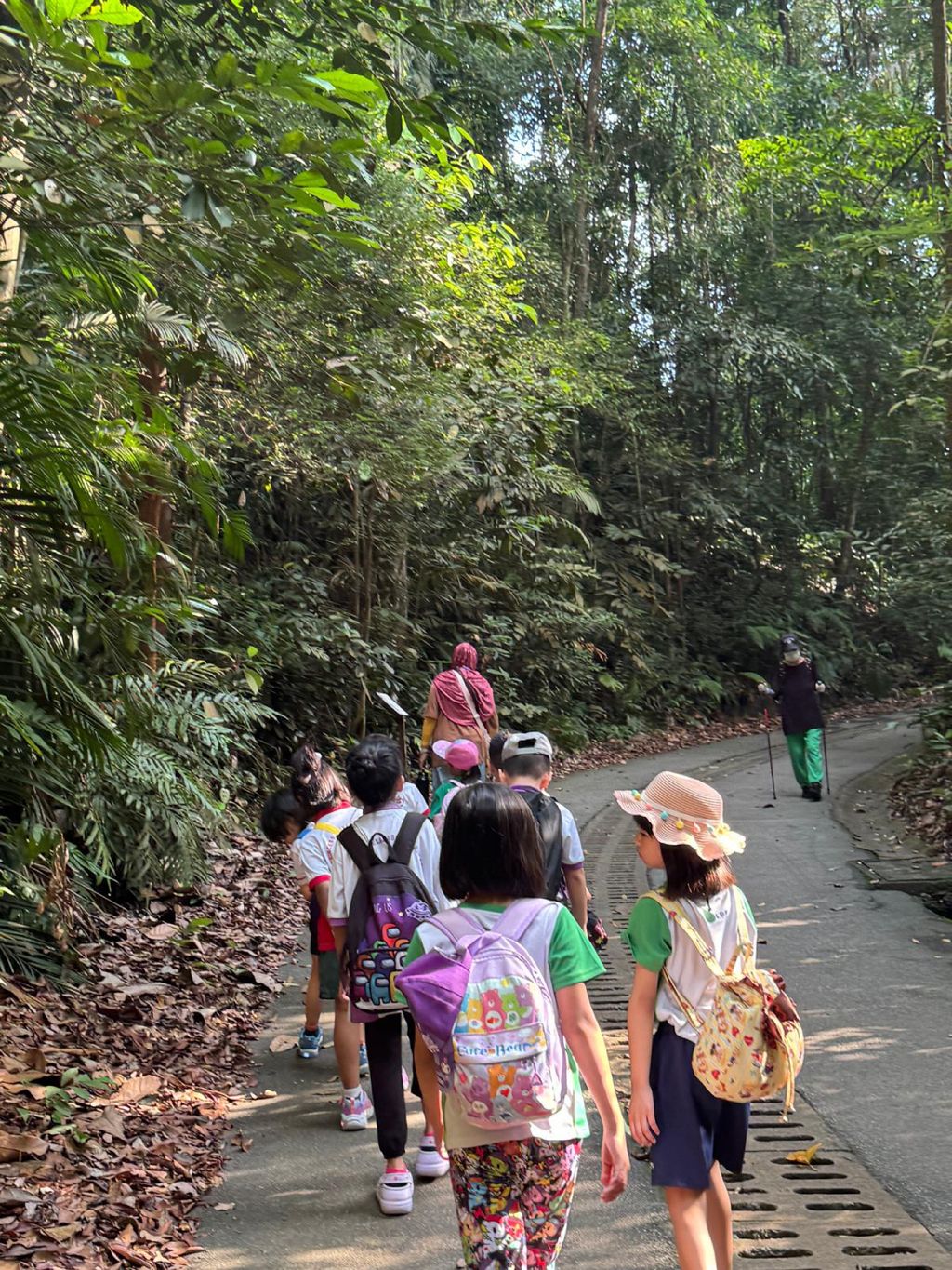 June Holiday Program - Campers hiking @Bukit Timah Hill — photo 13