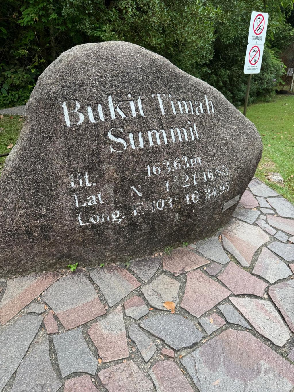 June Holiday Program - Campers hiking @Bukit Timah Hill — photo 14