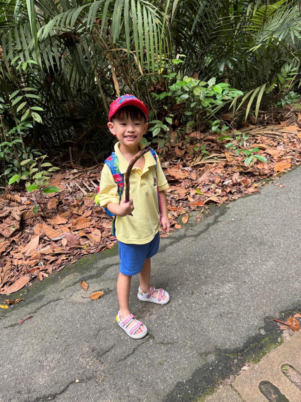 June Holiday Program - Campers hiking @Bukit Timah Hill — photo 15